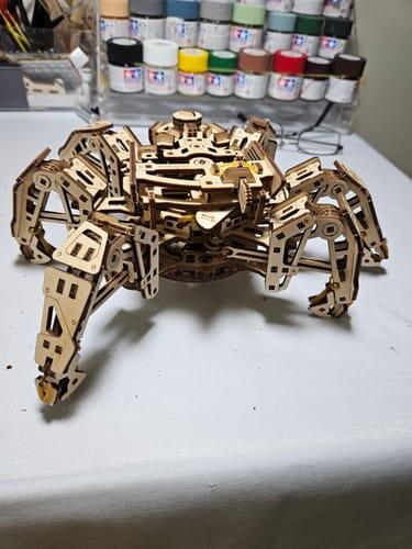 Il robot che stupisce tutti