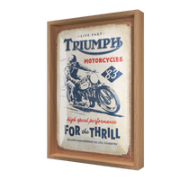 nostalgic-art-triumph-for-the-thrill-targa-in-metallo-20x30-cm image 7