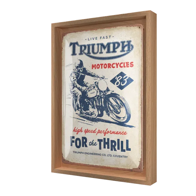 nostalgic-art-triumph-for-the-thrill-cornice-n-frame-m-edition-24x33-5-cm image 1