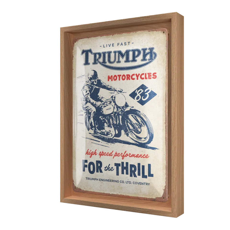 nostalgic-art-triumph-for-the-thrill-cornice-n-frame-m-edition-24x33-5-cm image 1