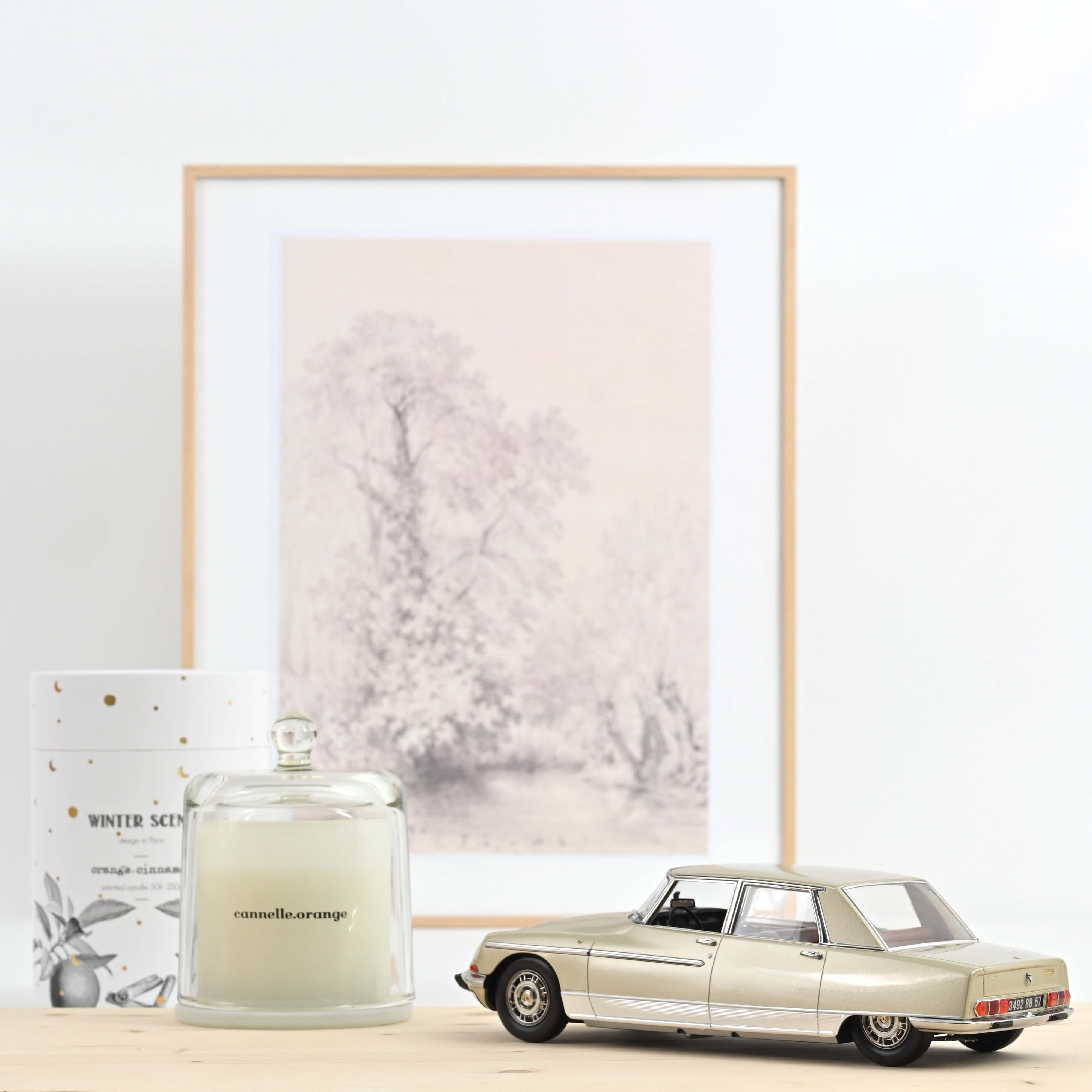 norev-citro-n-ds-21-lorraine-1969-modellino-auto-1-18-champagne image 2