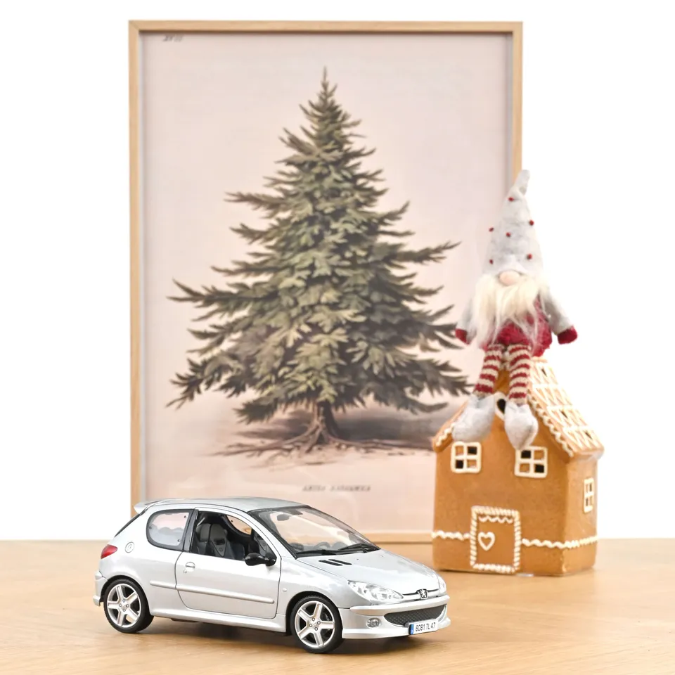 norev-peugeot-206-rc-2003-modellino-auto-1-18-argent-aluminium image 1