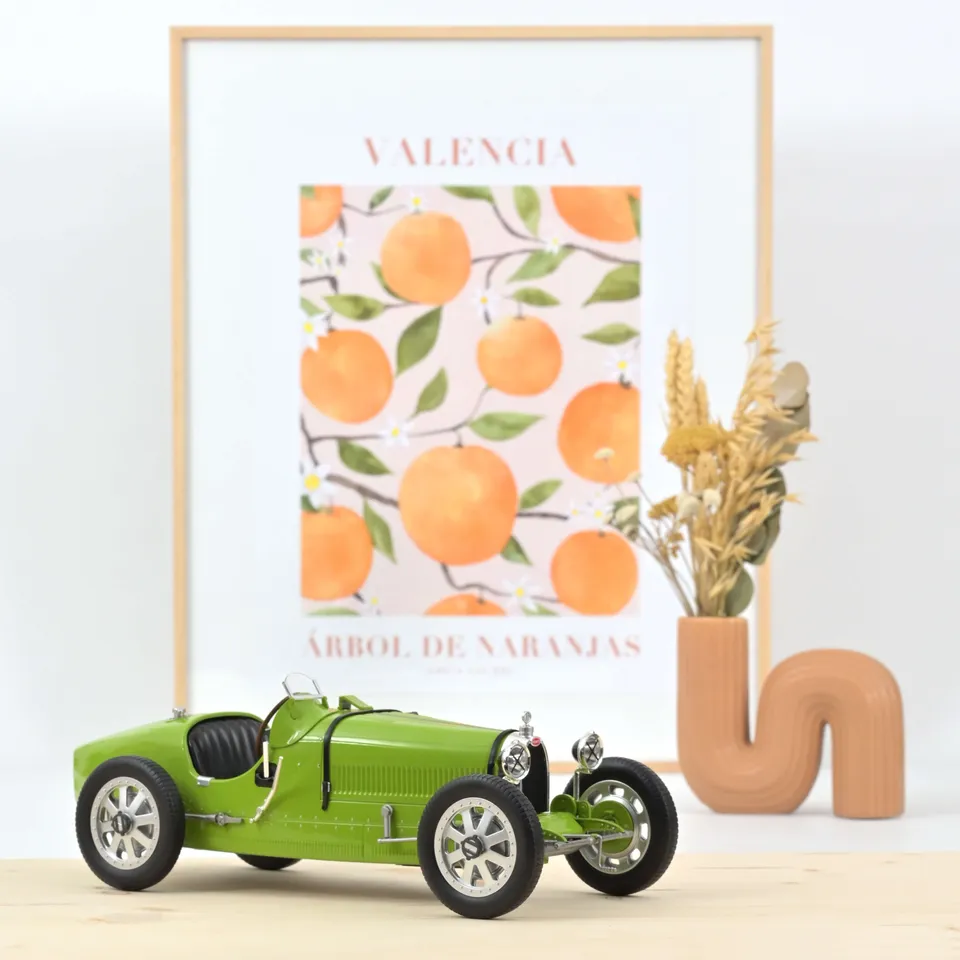 norev-bugatti-type-35-1925-verde-oliva-1-12-edizione-limitata-100-pezzi image 1