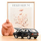 norev-vw-golf-gti-1976-modellino-auto-1-18-black-50-anniversario image 2