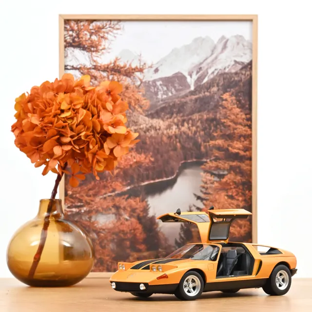 norev-mercedes-benz-c-111-ii-1970-weissherbst-1-18 image 1