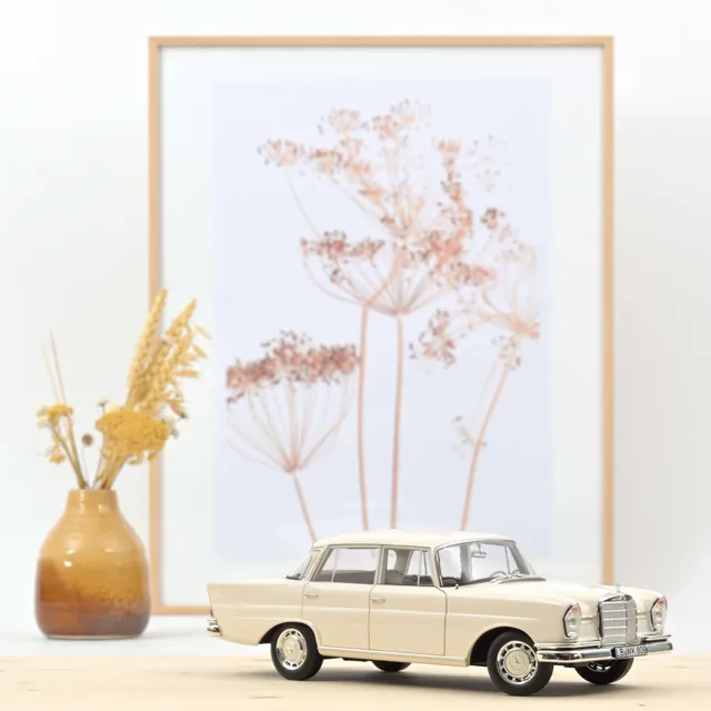 norev-mercedes-benz-220-s-1965-modellino-auto-1-18-beige-edizione-200-pezzi image 1
