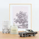 norev-mercedes-benz-230-sl-pagoda-1963-modellino-auto-1-18-bronzo-300pz image 7