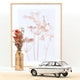 norev-citro-n-ami-super-1974-modellino-auto-1-18-meije-white image 2