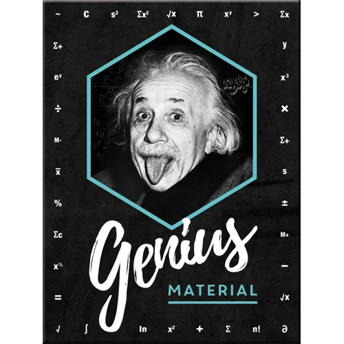 nostalgic-art-einstein-genius-material-calamita-da-frigo-6x8-cm image 1