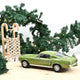 norev-ford-mustang-fastback-gt-1968-lime-gold-metallic-1-12-modellino-grande-da- image 2