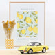 norev-alfa-romeo-2000-spider-veloce-1978-giallo-1-18-edizione-limitata-300-pz-mo image 2