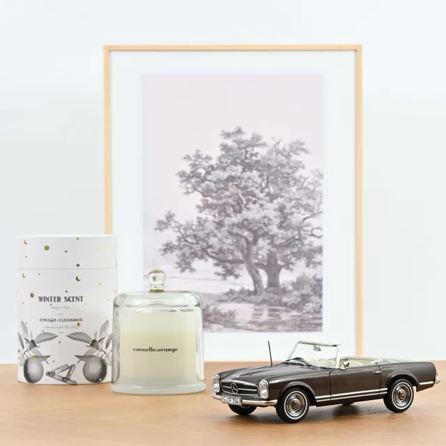 norev-mercedes-benz-230-sl-pagoda-1963-modellino-auto-1-18-bronzo-metallizzato-3 image 1