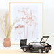 norev-renault-30-tx-1979-nera-1-18-200pcs-modellino-auto-da-collezione image 2