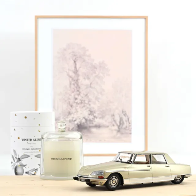 norev-citro-n-ds-21-lorraine-1969-modellino-auto-1-18-champagne-2 image 1