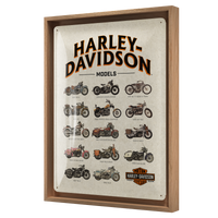 nostalgic-art-harley-davidson-model-chart-targa-in-metallo-30x40-cm image 8