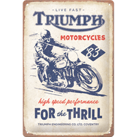 nostalgic-art-triumph-for-the-thrill-targa-in-metallo-20x30-cm image 2