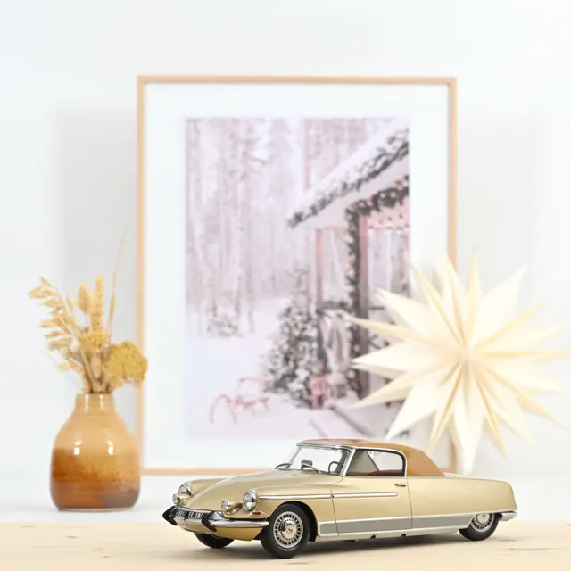 norev-citro-n-ds-19-le-dandy-1964-beige-metallizzato-e-marrone-modellino-1-18 image 1