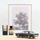 norev-opel-diplomat-v8-1969-nera-1-18-modellino-lusso-tedesca image 2