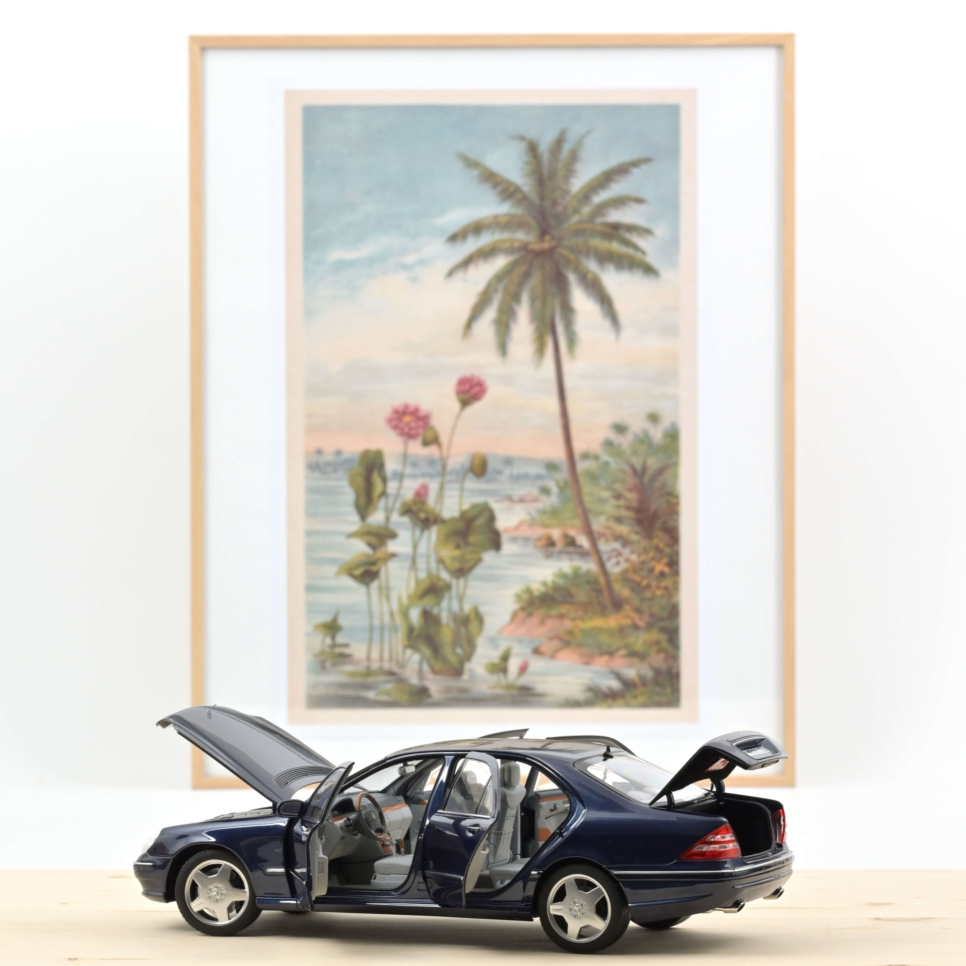 norev-mercedes-benz-s55-amg-2000-blu-metallizzato-modellino-auto-1-18 image 2