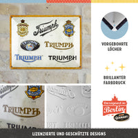 nostalgic-art-triumph-logo-evolution-targa-in-metallo-30x40-cm image 4