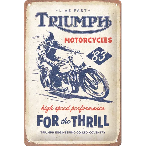nostalgic-art-triumph-for-the-thrill-targa-in-metallo-20x30-cm image 1