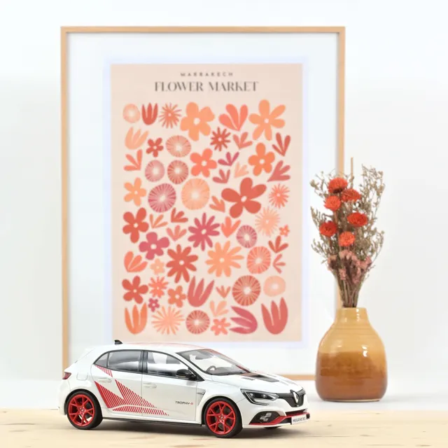 norev-renault-m-gane-r-s-trophy-r-2019-1-18-bianca image 1