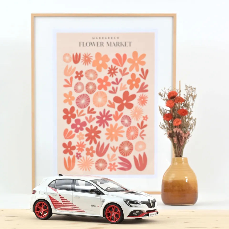 norev-renault-m-gane-r-s-trophy-r-2019-1-18-bianca image 1
