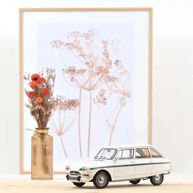 norev-citro-n-ami-super-1974-modellino-auto-1-18-meije-white image 1