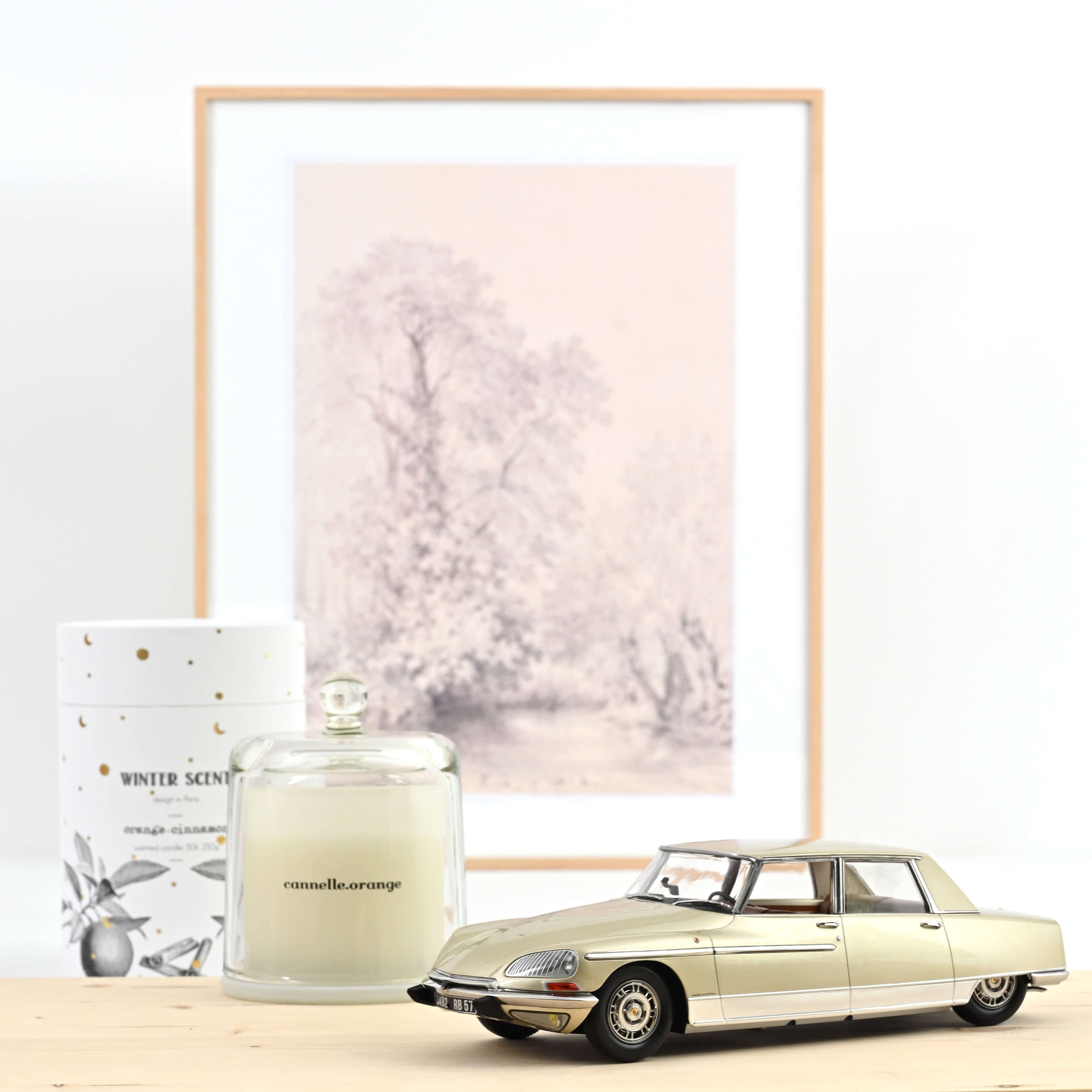 norev-citro-n-ds-21-lorraine-1969-modellino-auto-1-18-champagne image 1