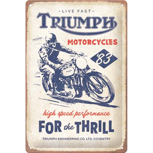 nostalgic-art-triumph-for-the-thrill-targa-in-metallo-20x30-cm-2 image 2