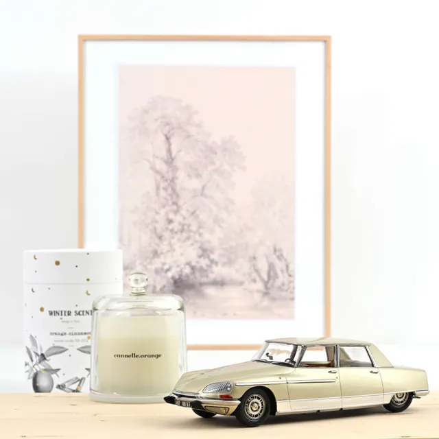 norev-citro-n-ds-21-lorraine-1969-modellino-auto-1-18-champagne image 1