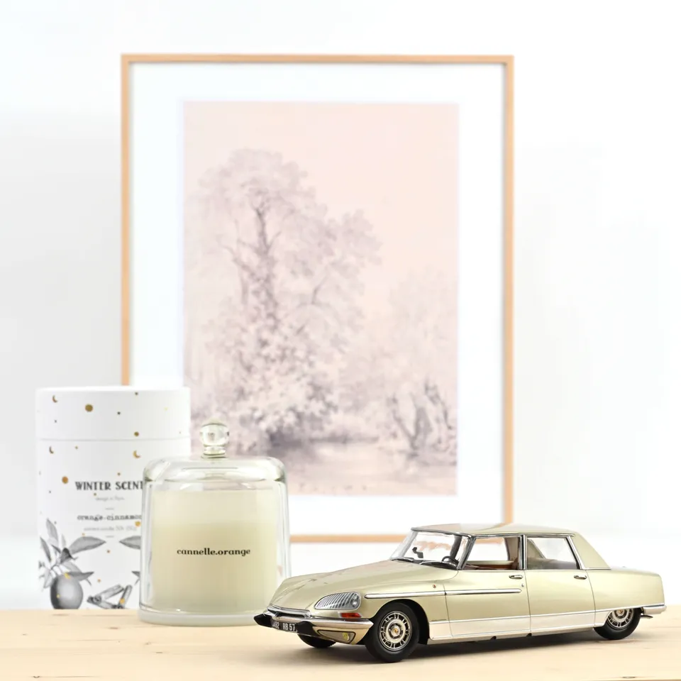 norev-citro-n-ds-21-lorraine-1969-modellino-auto-1-18-champagne image 1